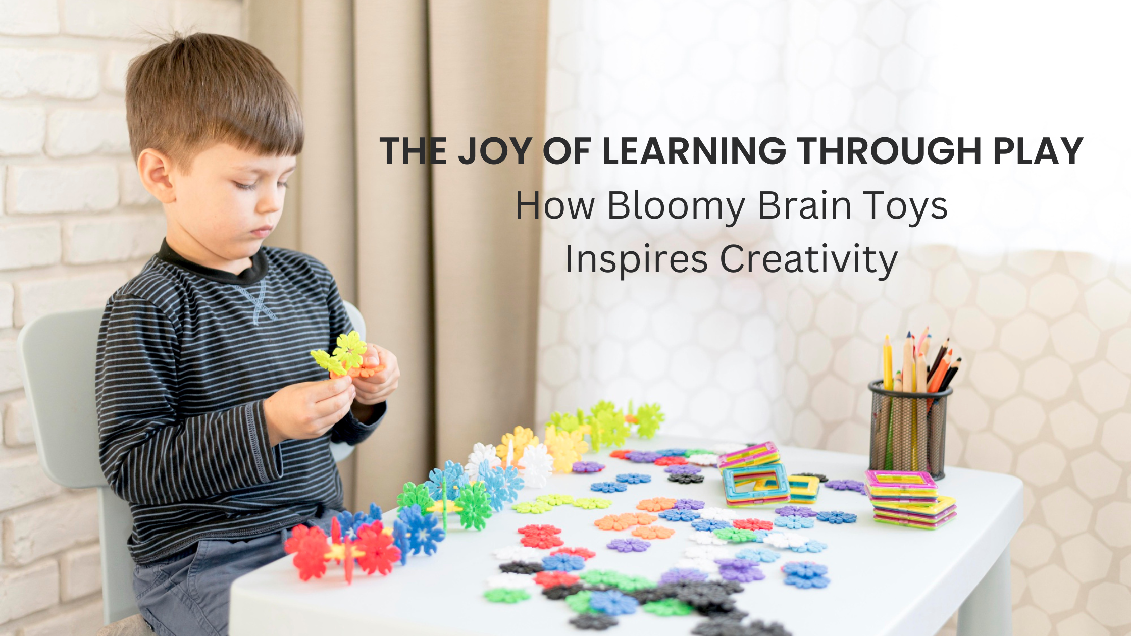 The Joy of Learning Through Play with Bloomy Brain Toys