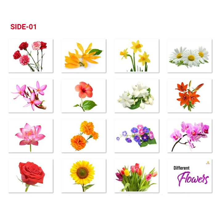 Flowers Flash Cards