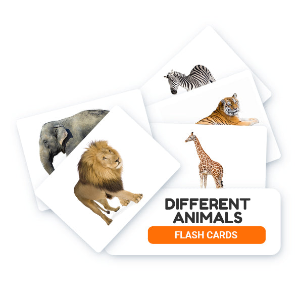 Different Animals Flash Cards
