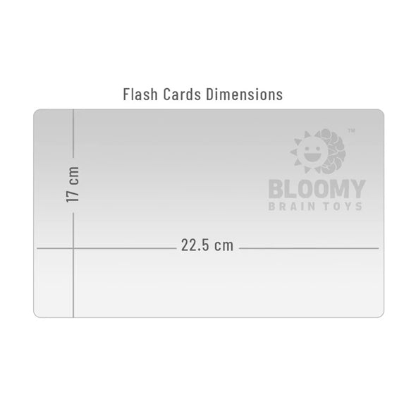 National Flower Flash Cards
