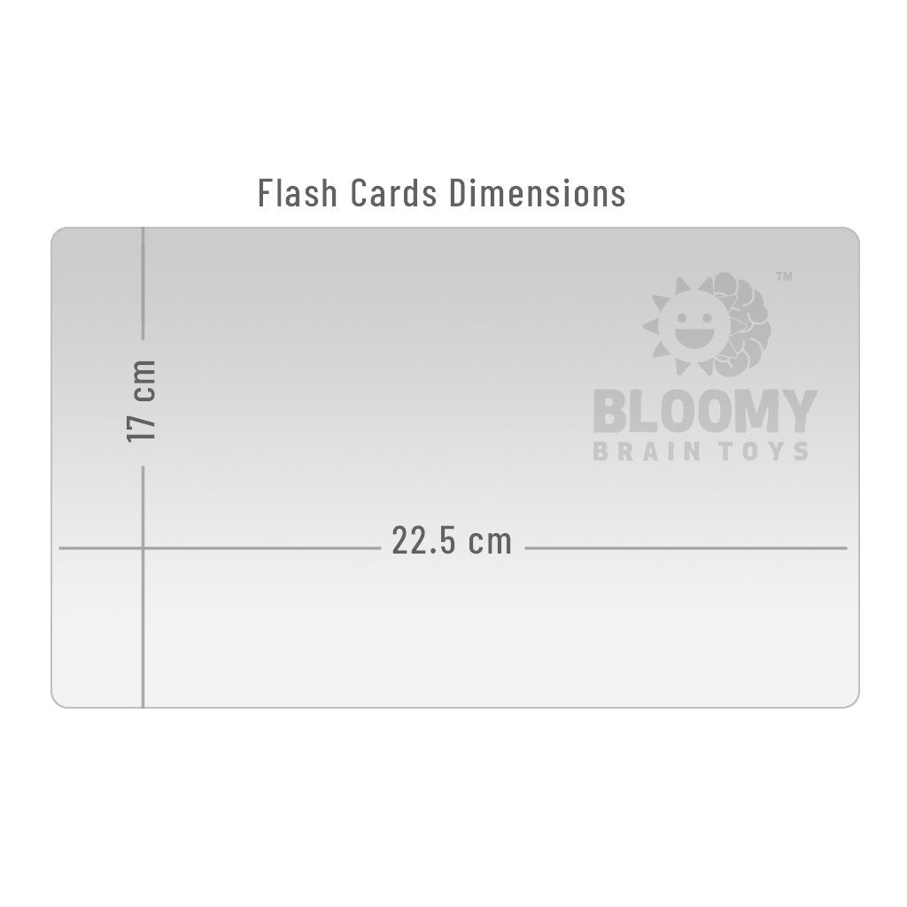 English Alphabet Baby Flash Cards - Bloomy Brain Toys