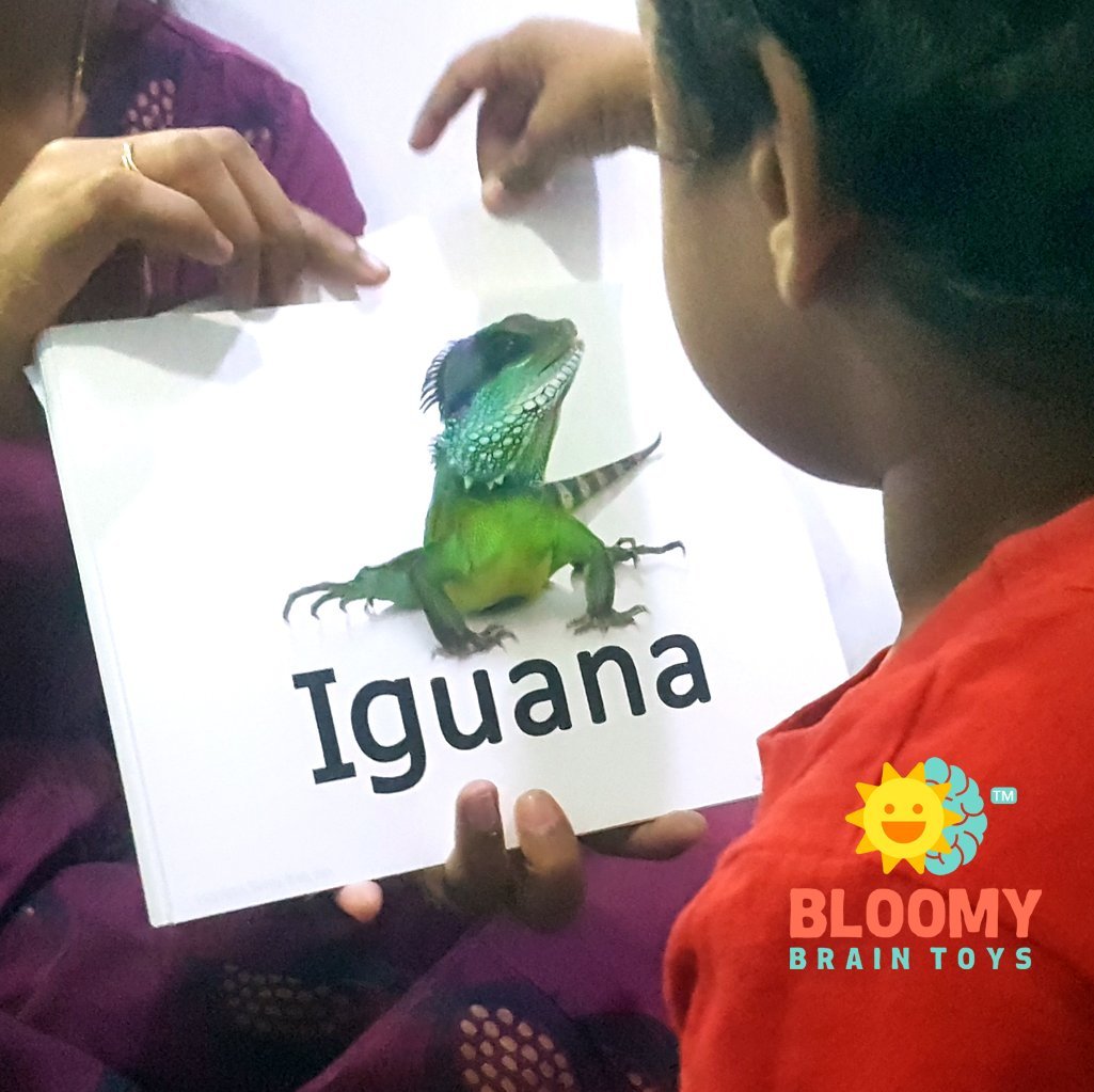 English Alphabet Baby Flash Cards - Bloomy Brain Toys