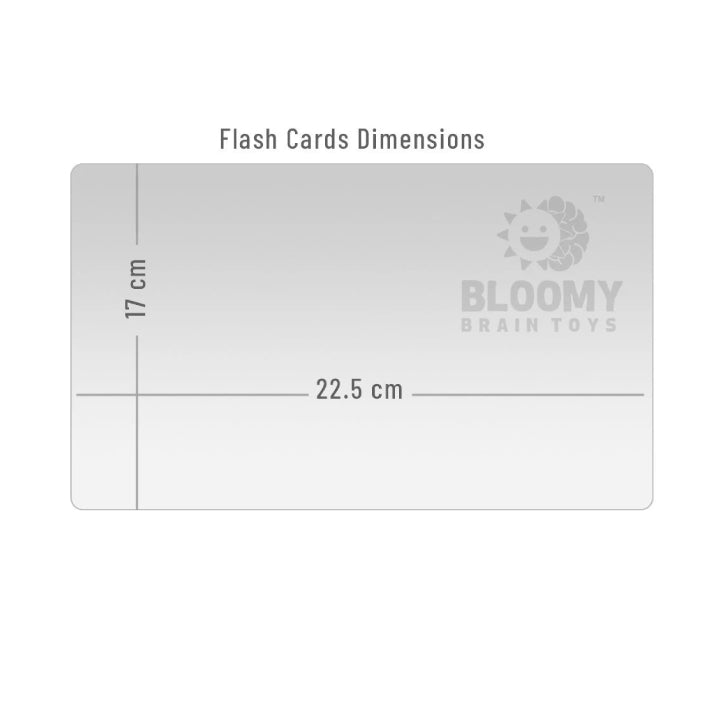 World Flags - Bundle Flash Cards (Set 1 and Set 2)